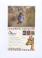Kenya 1983 Photoform Giraffe, Bird