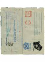 Formula Air Letter Gorilla Used