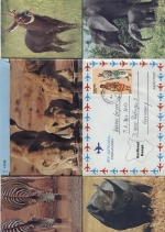 Kenya 1990 Photoletter by Photoform Lion, Zebra, Rhion, Elephant, Deer Used