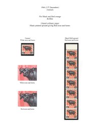Kenya 1966
 Animals 
 50c Black shift