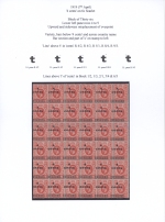 East Africa & Uganda 1919 Surcharge Block of 36